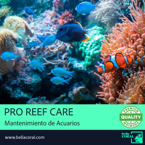Plan Pro Reef Care